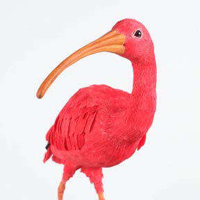Scarlet Ibis crepe paper bird sculpture by Aimée Baldwin