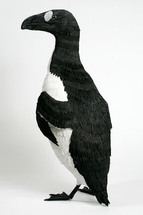 Great Auk by Aimee Baldwin