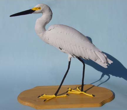 snowy egret by Aimee Baldwin