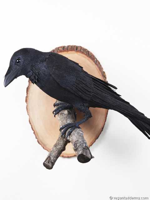 Common Raven (Corvus corax), 3-D crepe paper sculpture by Aimée Baldwin