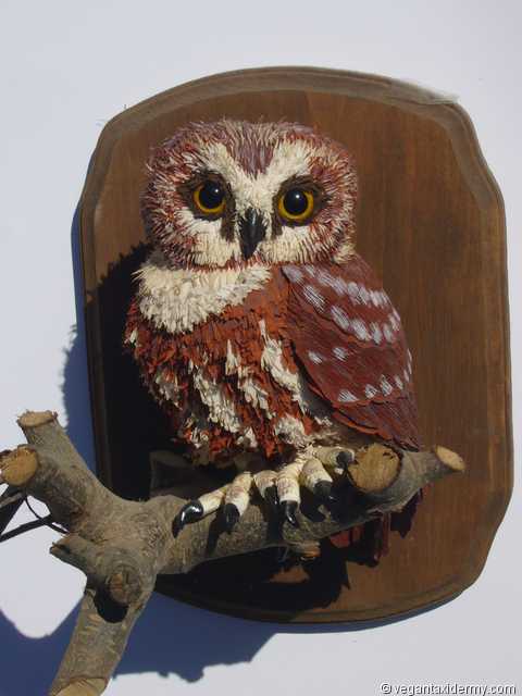 Northern Saw-Whet Owl (Aegolius acadicus), 3-D crepe paper sculpture by Aimée Baldwin