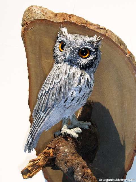 Western Screech Owl (Megascops kennicottii), 3-D crepe paper sculpture by Aimée Baldwin