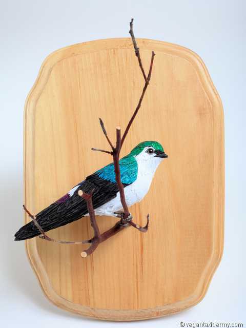 Violet-green Swallow (Tachycineta thalassina), 3-D crepe paper sculpture by Aimée Baldwin