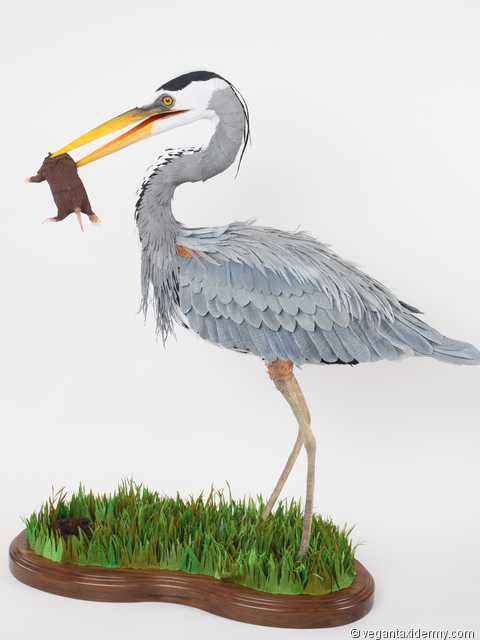 Great Blue Heron (Ardea herodias), 3-D crepe paper sculpture by Aimée Baldwin